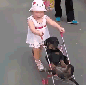 dod stroller.gif