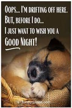 dcd195d239d8b4d5eb07115288159713[1].jpg