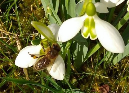 garden06.jpg