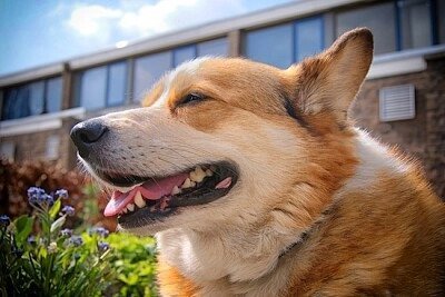 ezgif.com-gif-maker (13).jpg