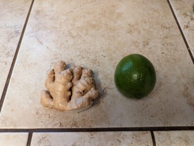 ginger.jpg