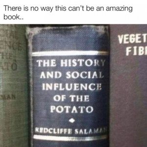 300011301_7974355795972798_1199499440507780138_n.jpg