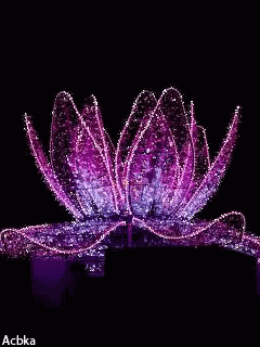 lotus-animation.gif