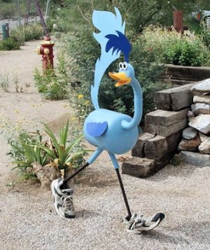 Roadrunner @.jpg