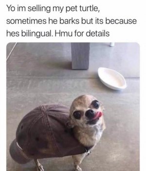 B73A27C5-6CA0-461C-BB6B-7DFB4A700FF6.jpeg