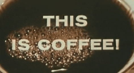 giphy-2.gif