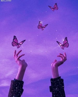 tumblr_8ed86798a2cd761e082d84e16360a6d3_9d7ab66b_1280.jpg