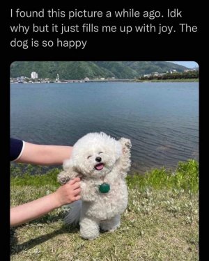 C7FC917E-52E6-442F-9D48-F793B6B46358.jpeg