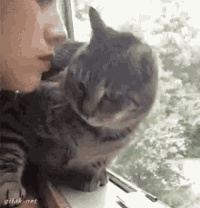 kiss-cat.gif