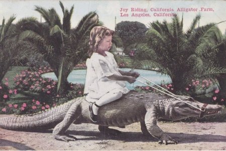 Postcard+3.2.jpg