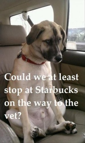 778DA2CF-8418-416A-94E3-8BC125A2E0EF.jpeg