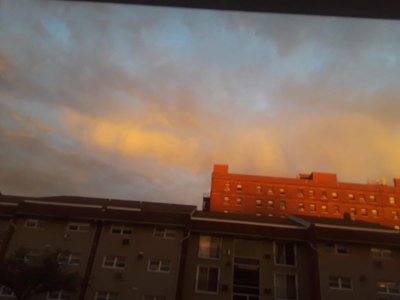 20220614_052851.jpg