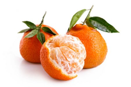 satsuma.jpg