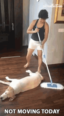 not-moving-today-lazy.gif