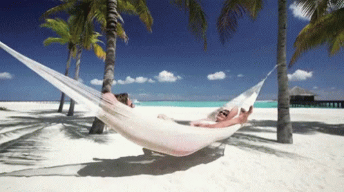 Beach Life.gif
