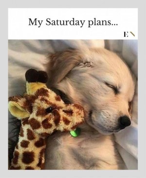 funny-memes-entity-1.jpg