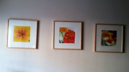20171213_091401-1.jpg