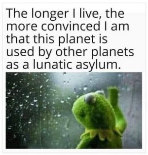 lun.jpg