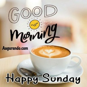 880a68e445bccb28a891fec1a03cfdf8.jpg