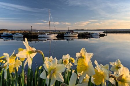 fife-6135609__480.jpg