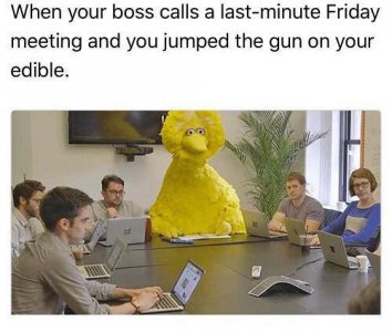 4JtJ4r0.jpg