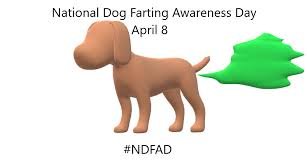 DOG.jpg