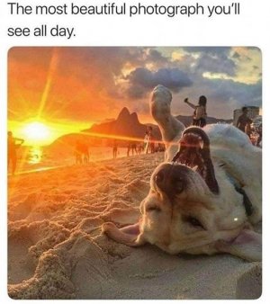 beautiful.jpg