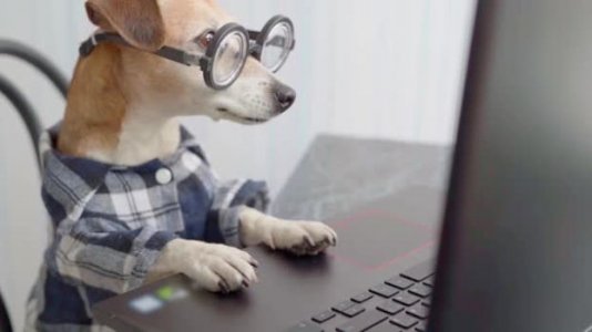 Nerd @.jpg