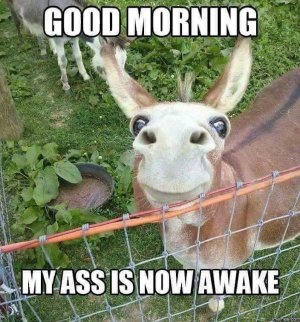 5991A8FF-B45E-482F-852A-C8A8A4A3A0C1.jpeg
