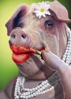 lipstick on pig.jpg