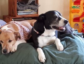 Lennie&Carl_1.jpg
