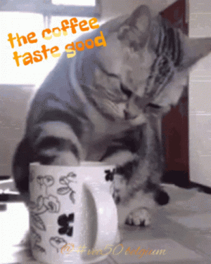 coffee-vec50.gif
