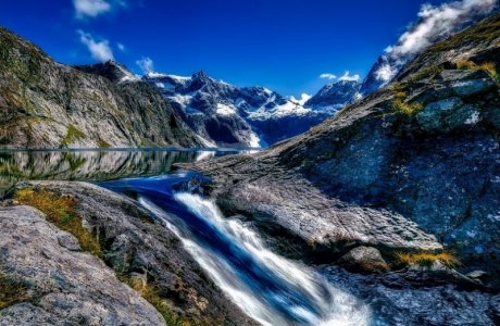 newzealand.jpg