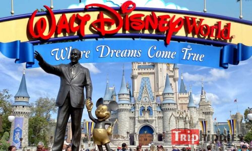 A-Comprehensive-Guide-to-Walt-Disney-World-Florida.jpg
