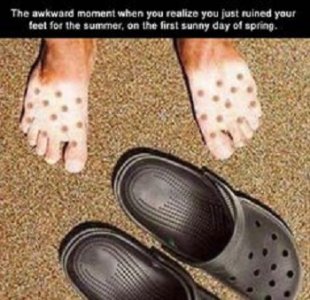 Crocks.jpg