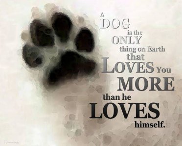 864184bc69196f01be5a05364629aeff[1].jpg