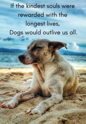 e6b94b3755ac8fcfad830bc247087b0f[1].jpg