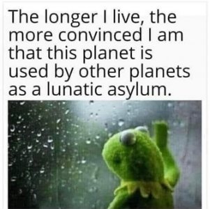 lunatic.jpg