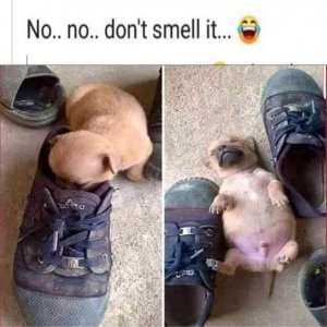 FB_IMG_1678041882958.jpg