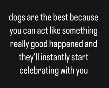 FB_IMG_1678041830687.jpg