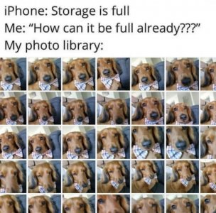 FB_IMG_1678054437656.jpg