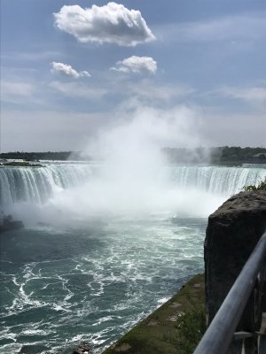 IMG_1227.jpg