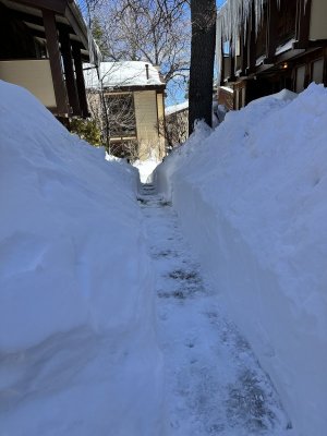 040C5E13-412A-4113-B05D-B5F0F4C8FC51.jpeg 040C5E13-412A-4113-B05D-B5F0F4C8FC51.jpeg