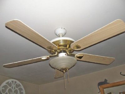 ceiling fan.jpg