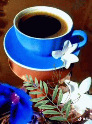good-morning (1).gif