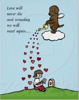 never die.jpg