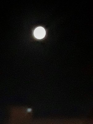 Full Moon Over PCH.jpeg