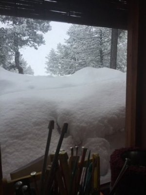 inside looking out.jpg