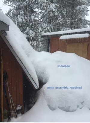 snow man.jpg