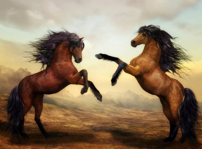 horses.jpg
